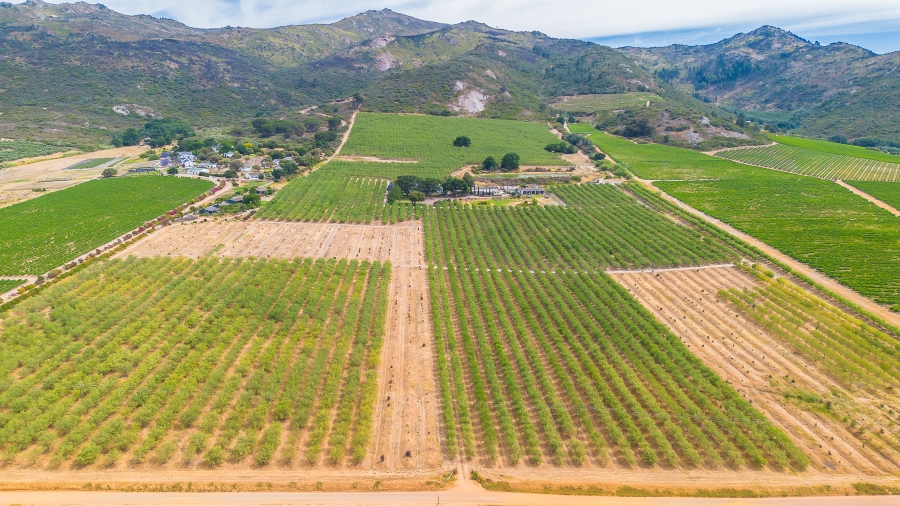 4 Bedroom Property for Sale in Paarl Rural Western Cape